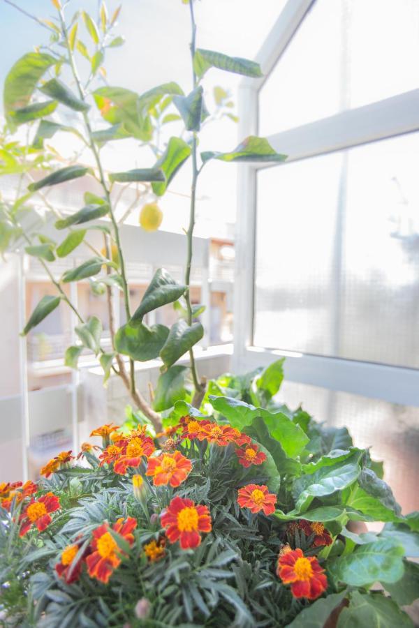 פיראוס Beautiful And Comfortable Apartment At Marina Zeas מראה חיצוני תמונה
